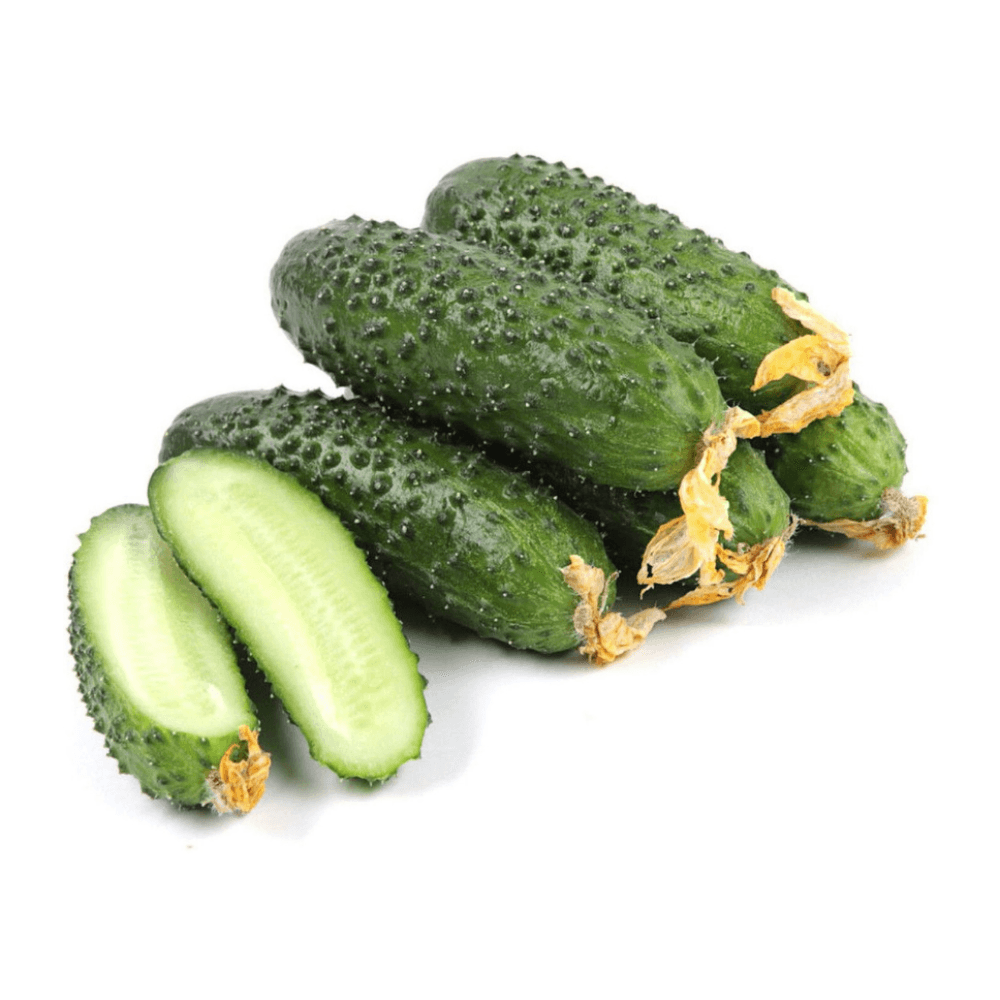 Огурцы короткоплодные  1