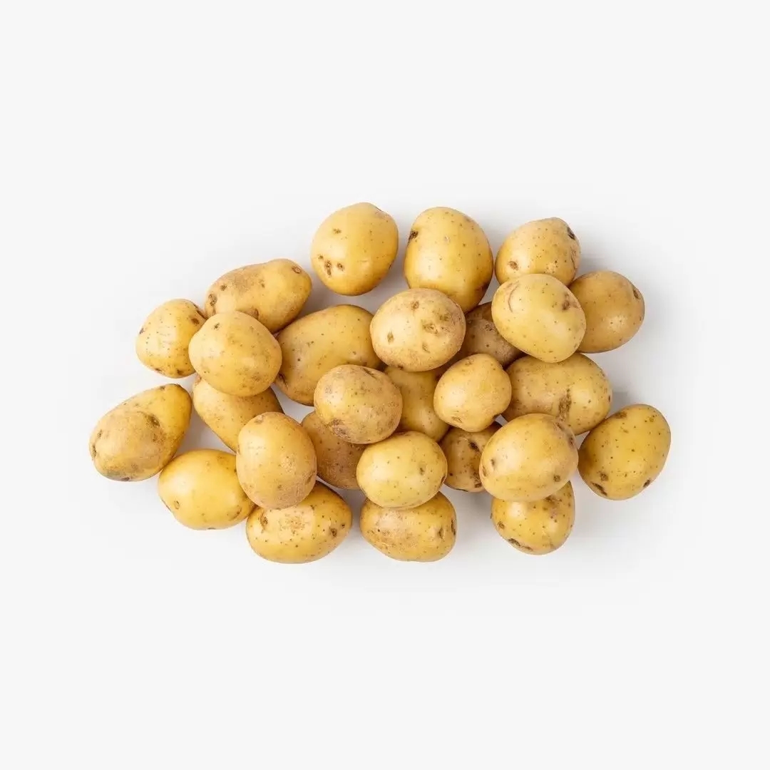 Картофель белый БЕБИ 1