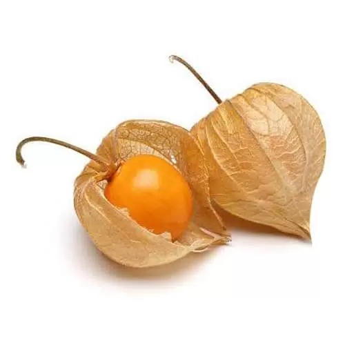 Физалис  1