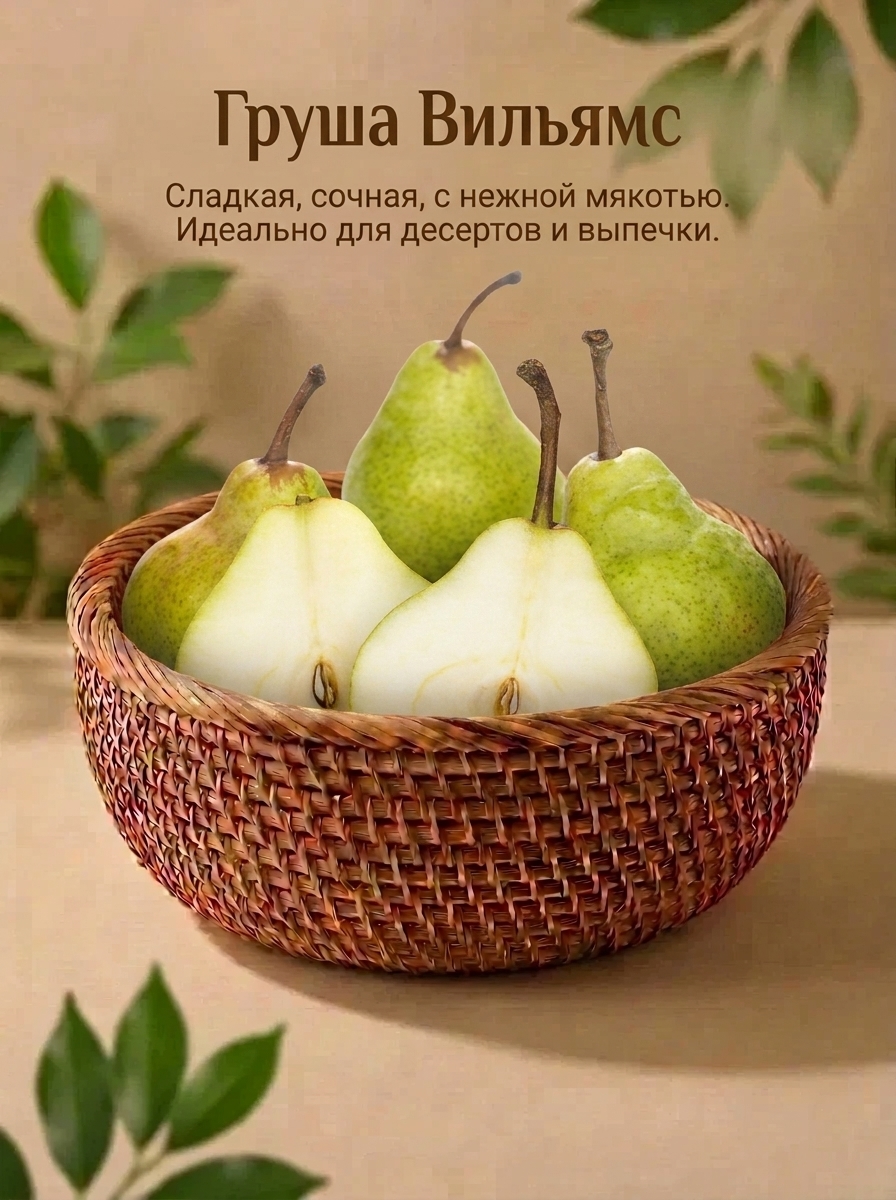 Груша Вильямс  1