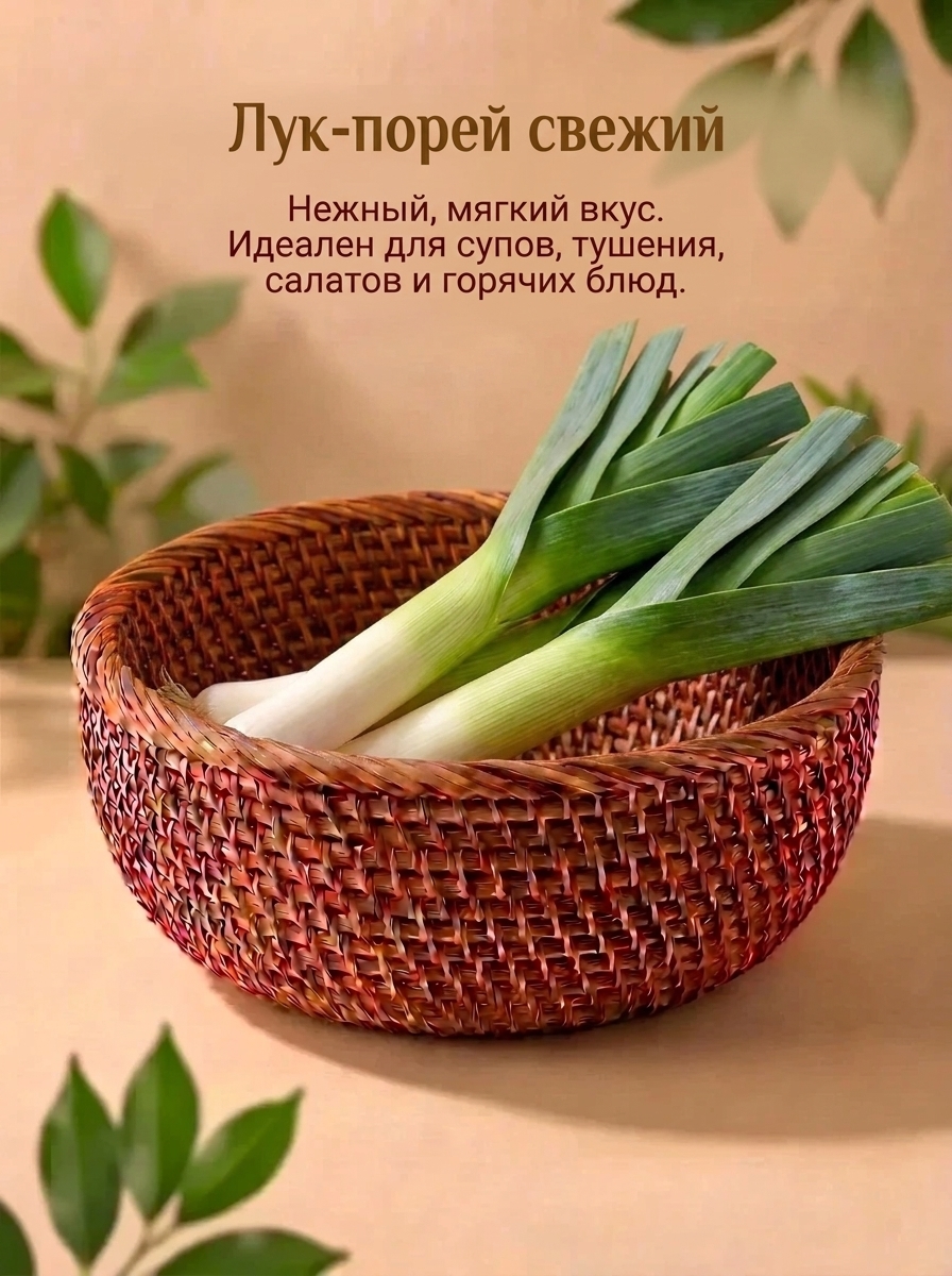 Лук Порей 1
