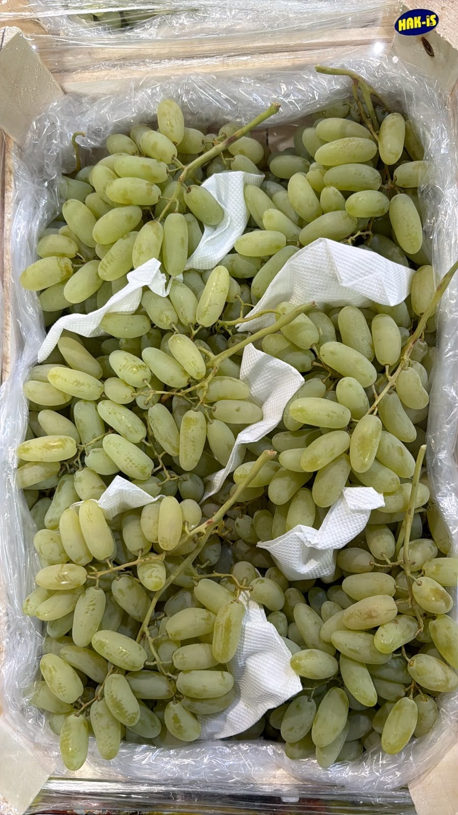 Виноград Дамские Пальчики 1